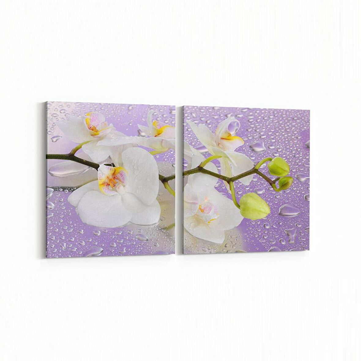 Olla 11660K2Y Orkide Çiçek Görseli 2'li Yatay Kanvas Tablo (Ölçü: 85X40)