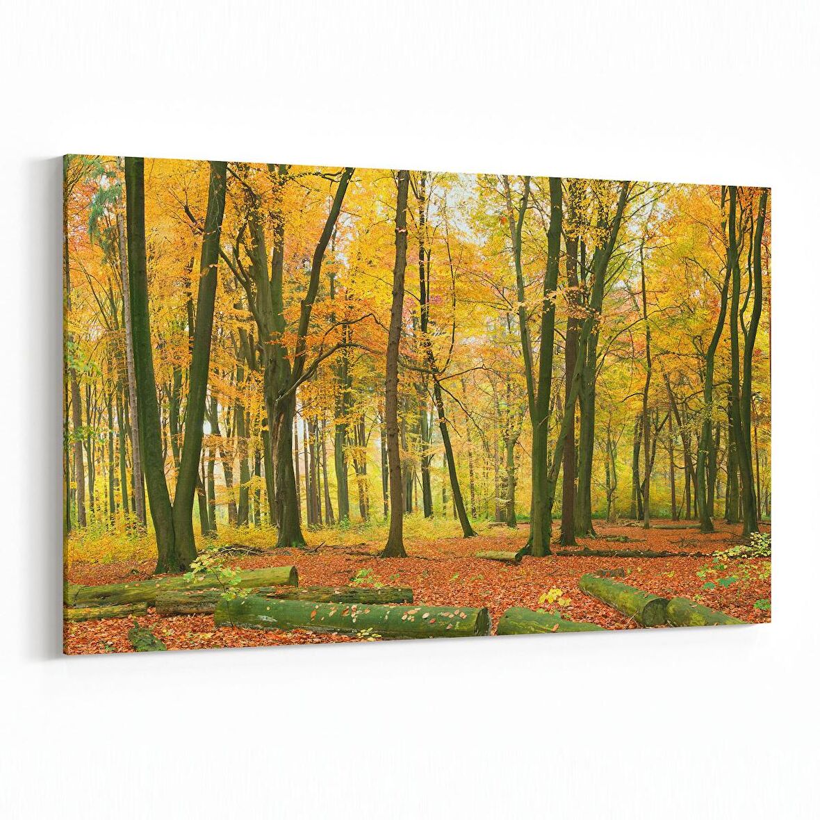 Olla 14354Y Doğa / Manzara Görseli Yatay Kanvas Tablo (Ölçü: 45X30)