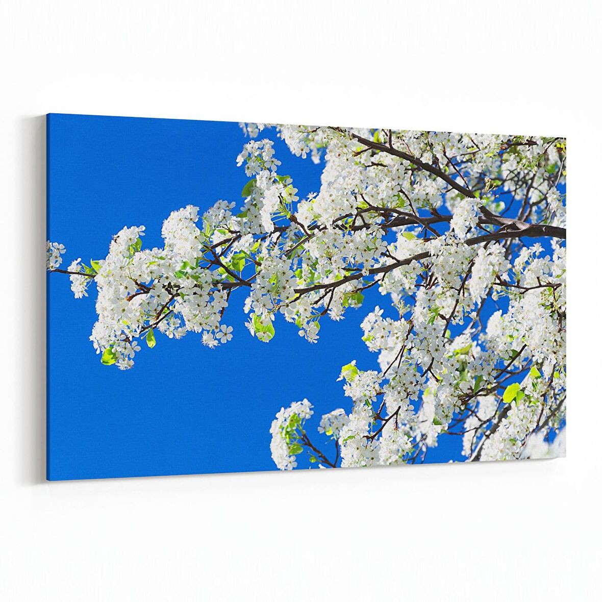 Olla 10651Y Ağaç Görseli Yatay Kanvas Tablo (Ölçü: 70X50)