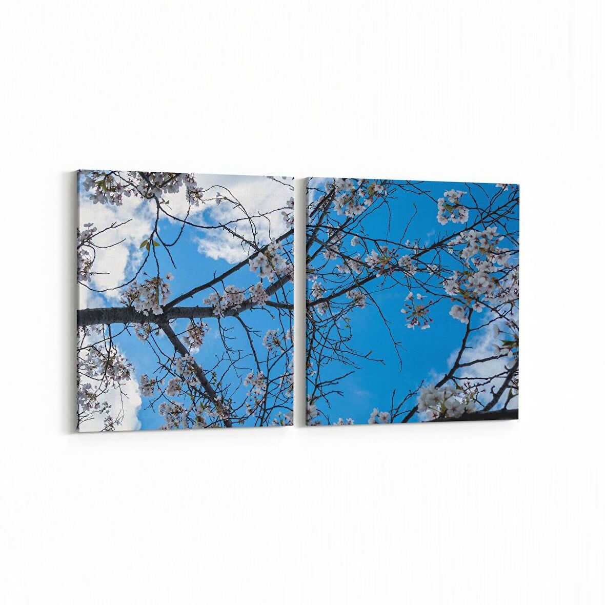 Olla 10764K2Y Ağaç Görseli Kare 2'li Yatay Kanvas Tablo (Ölçü: 125X60)