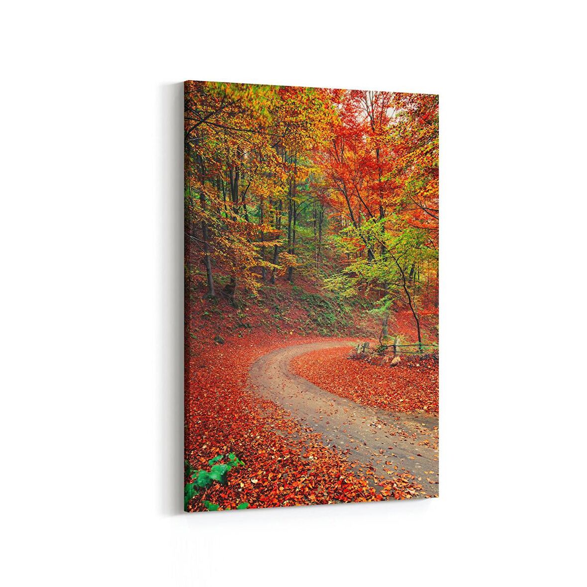 Olla 14128D Doğa / Manzara Görseli Dikey Kanvas Tablo (Ölçü: 100X150)