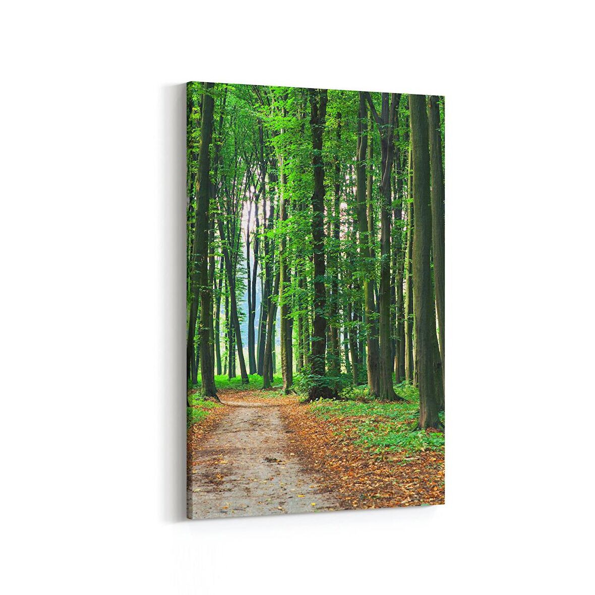 Olla 13870D Doğa / Manzara Görseli Dikey Kanvas Tablo (Ölçü: 20X30)