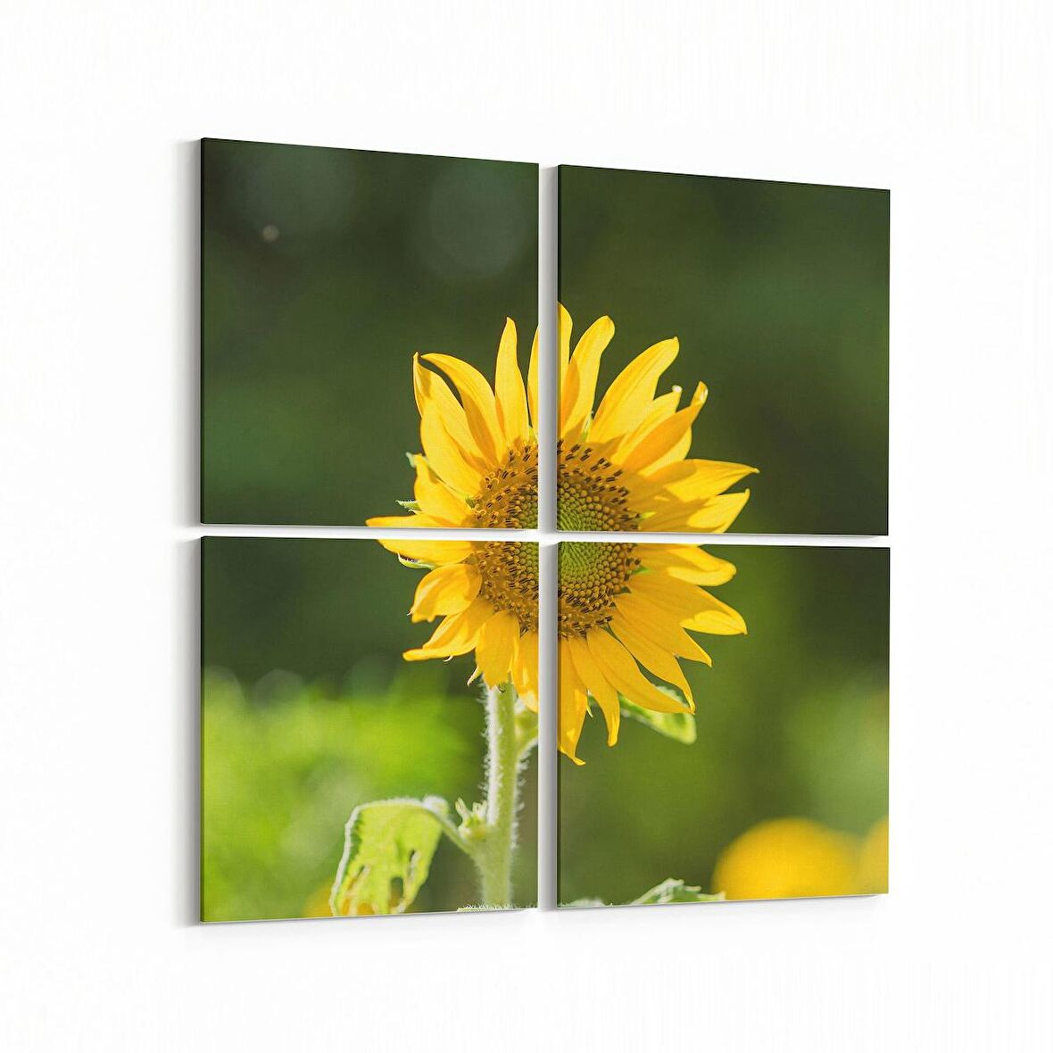 Olla 10796K4 Ağaç Görseli Kare 4'lü Kanvas Tablo (Ölçü: 145X145)