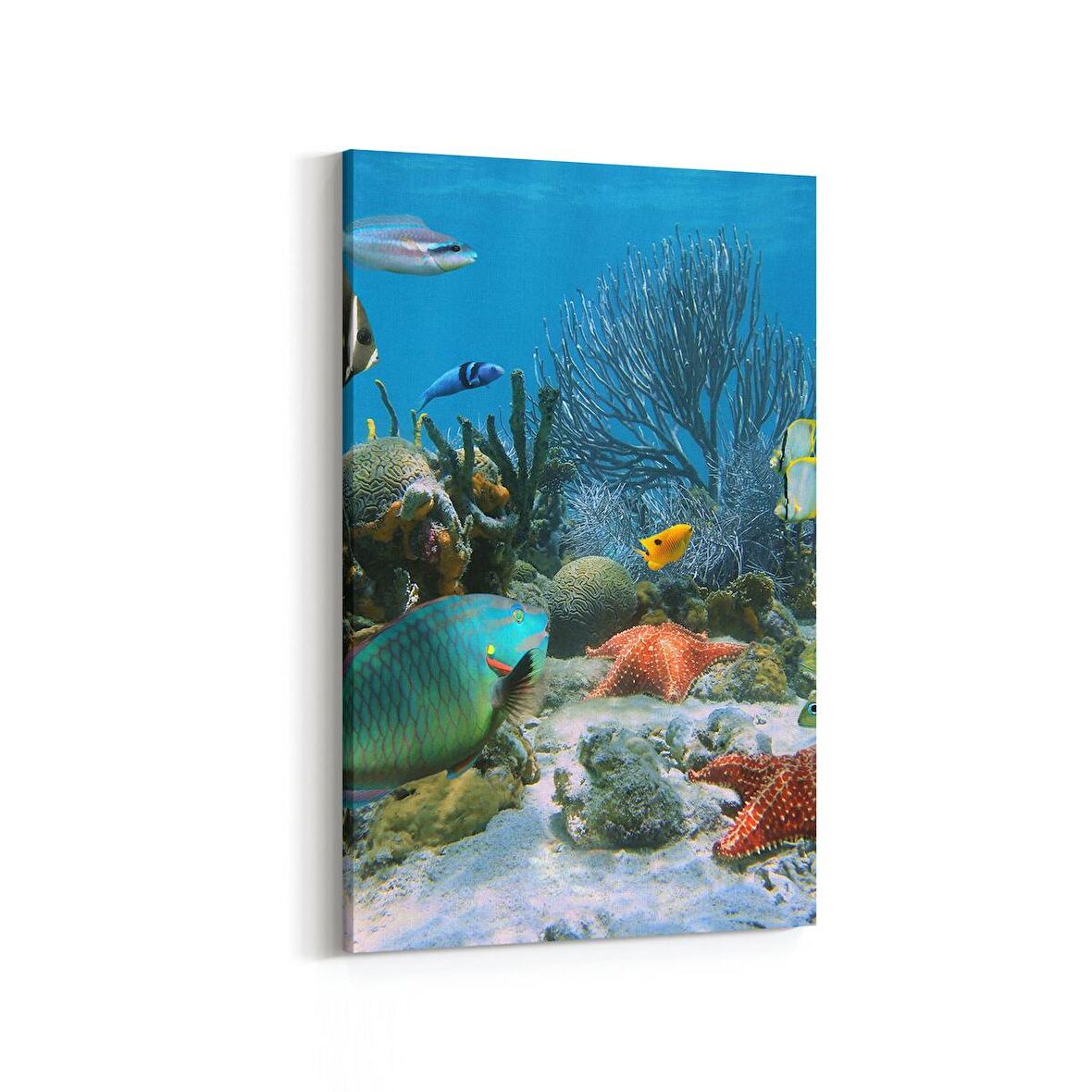 Olla 12056D Akvaryum / Balık Görseli Dikey Kanvas Tablo (Ölçü: 80X120)