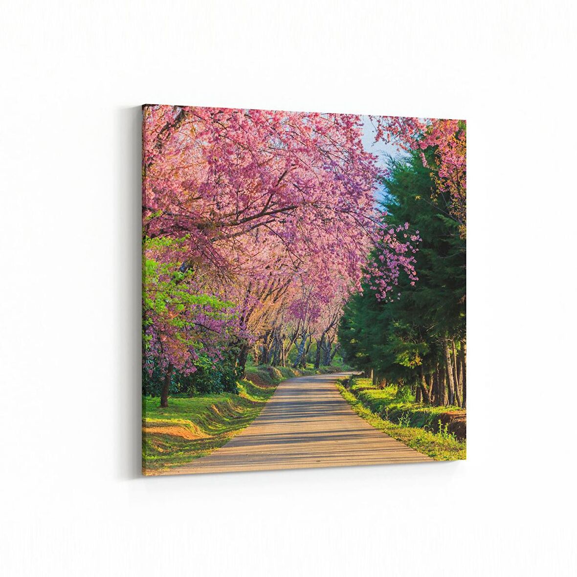 Olla 13984K Doğa / Manzara Görseli Kare Kanvas Tablo (Ölçü: 25X25)