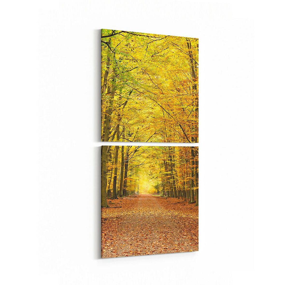 Olla 14251K2D Doğa / Manzara Görseli Kare 2'li Dikey Kanvas Tablo (Ölçü: 30X65)