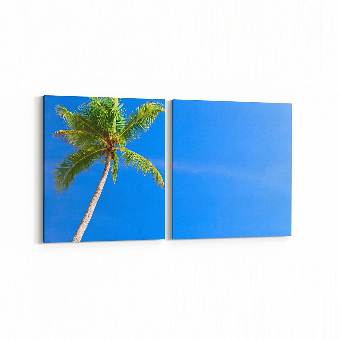 Olla 11546K2Y Palmiye Ağacı Görseli Kare 2'li Yatay Kanvas Tablo (Ölçü: 125X60)
