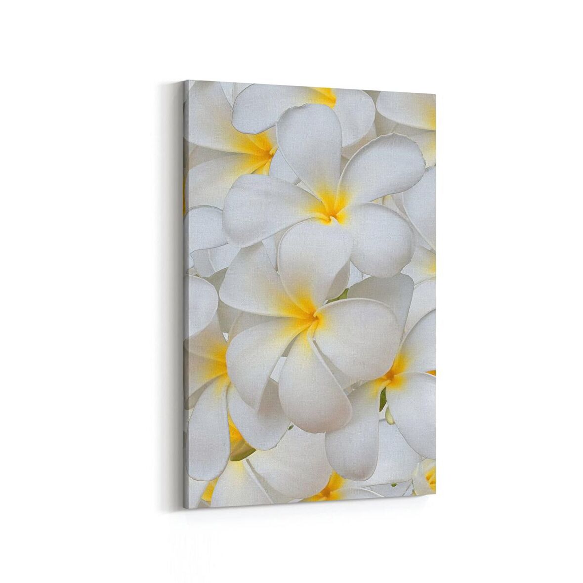 Olla 11633D Çiçek Görseli Dikey Kanvas Tablo (Ölçü: 60X90)