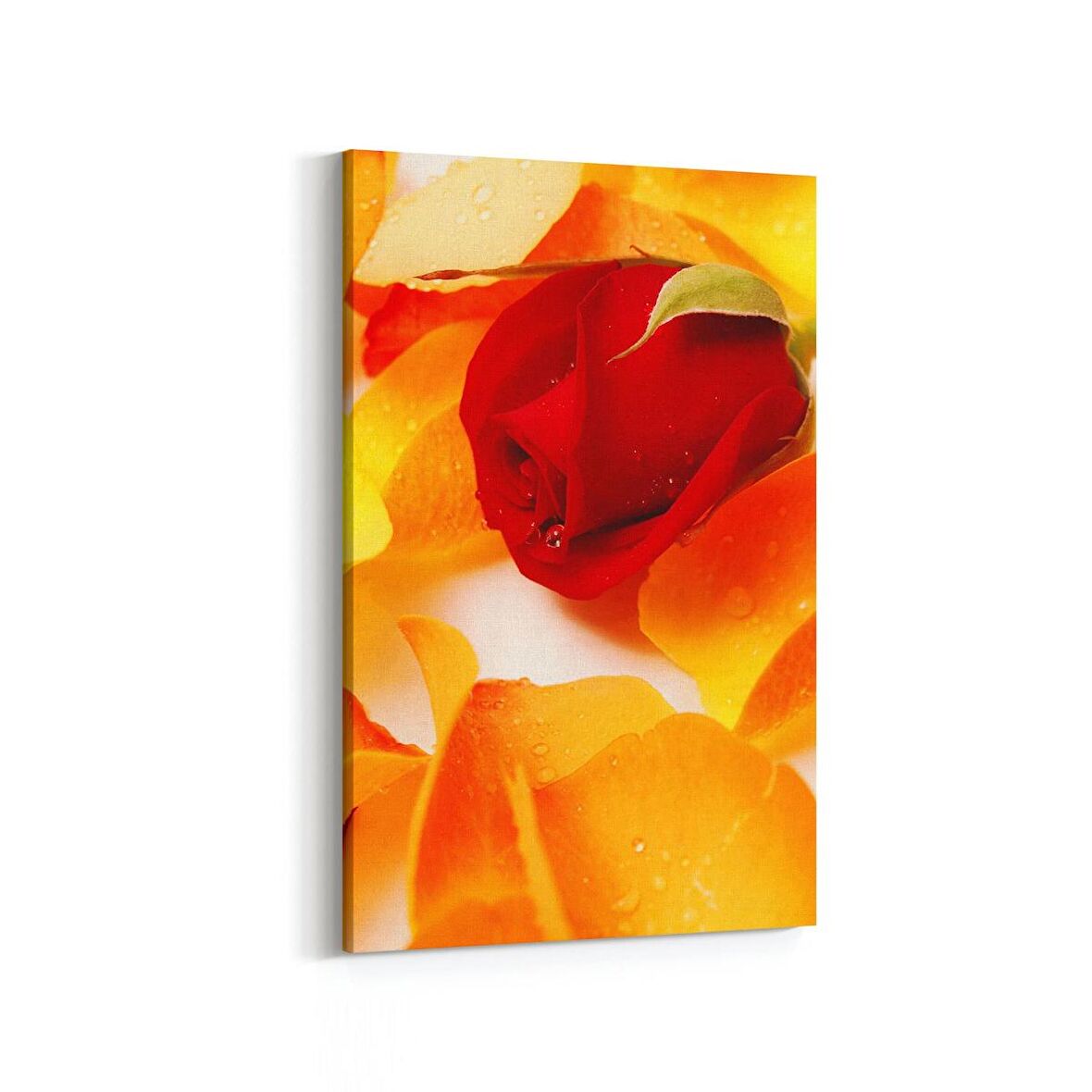 Olla 11616D Çiçek Görseli Dikey Kanvas Tablo (Ölçü: 60X90)