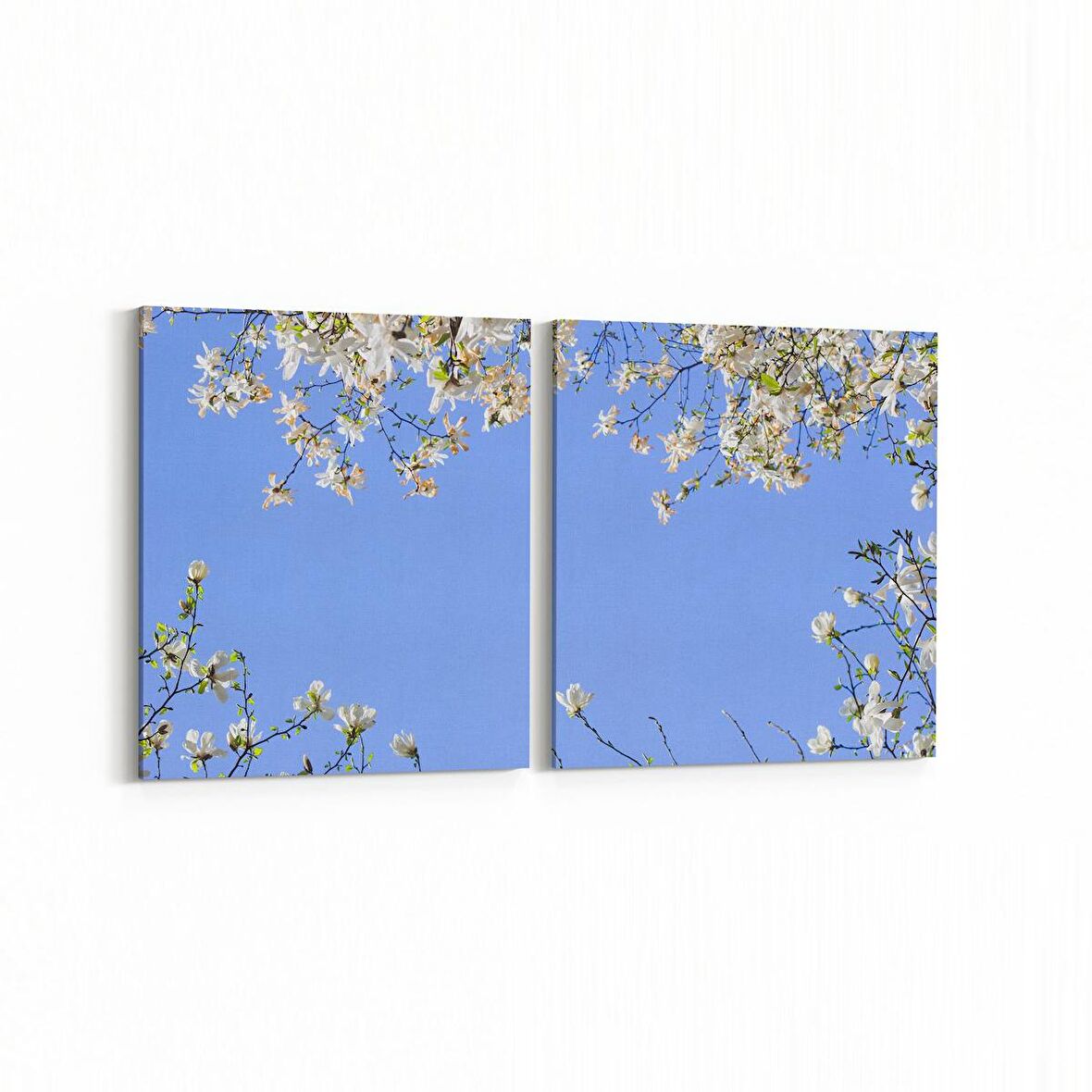 Olla 10962K2Y Ağaç Görseli Kare 2'li Yatay Kanvas Tablo (Ölçü: 85X40)