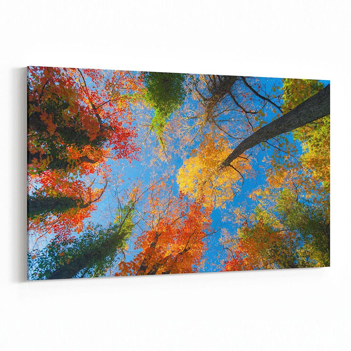 Olla 10512Y Ağaç Görseli Yatay Kanvas Tablo (Ölçü: 90X60)