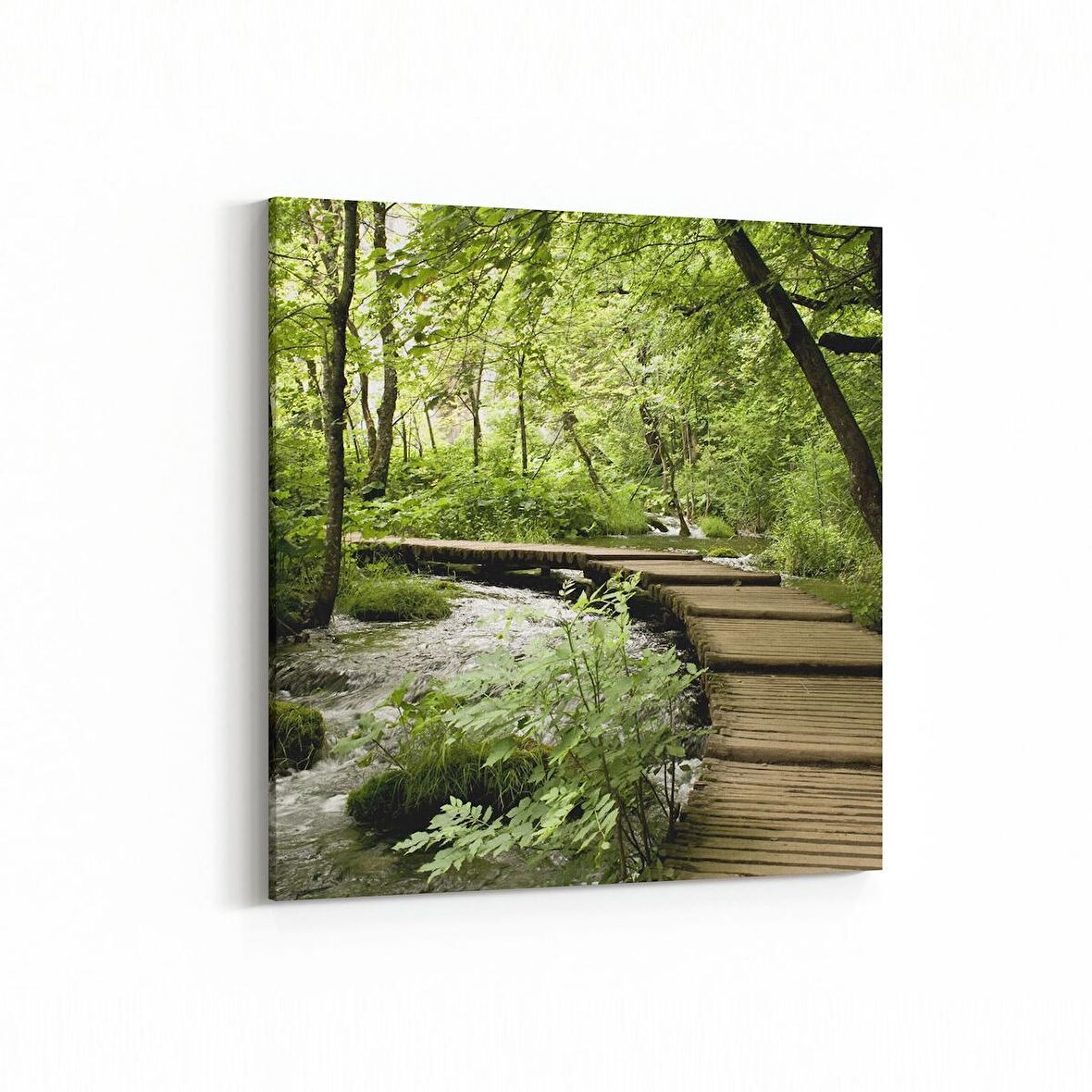 Olla 14231K Doğa / Manzara Görseli Kare Kanvas Tablo (Ölçü: 25X25)