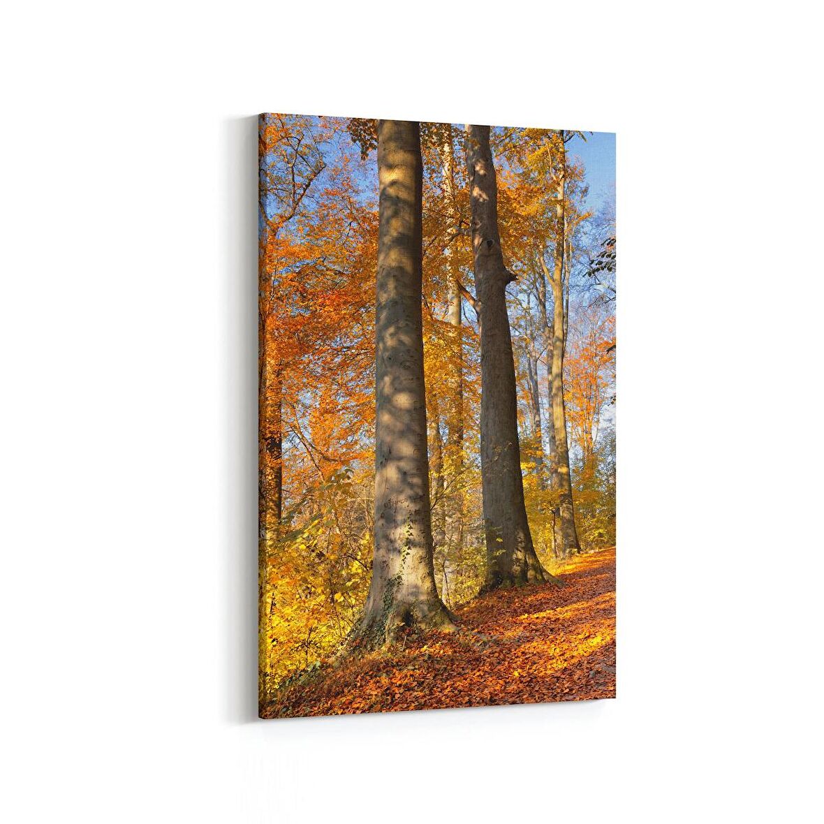 Olla 13255D Doğa / Manzara Görseli Dikey Kanvas Tablo (Ölçü: 80X120)