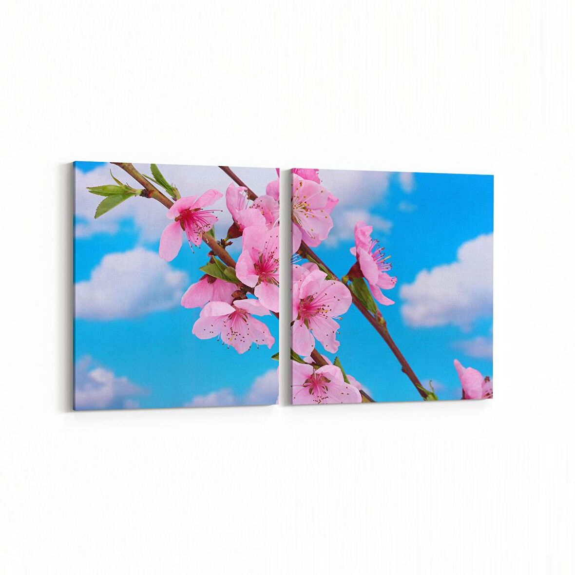 Olla 10545K2Y Ağaç Görseli Kare 2'li Yatay Kanvas Tablo (Ölçü: 105X50)