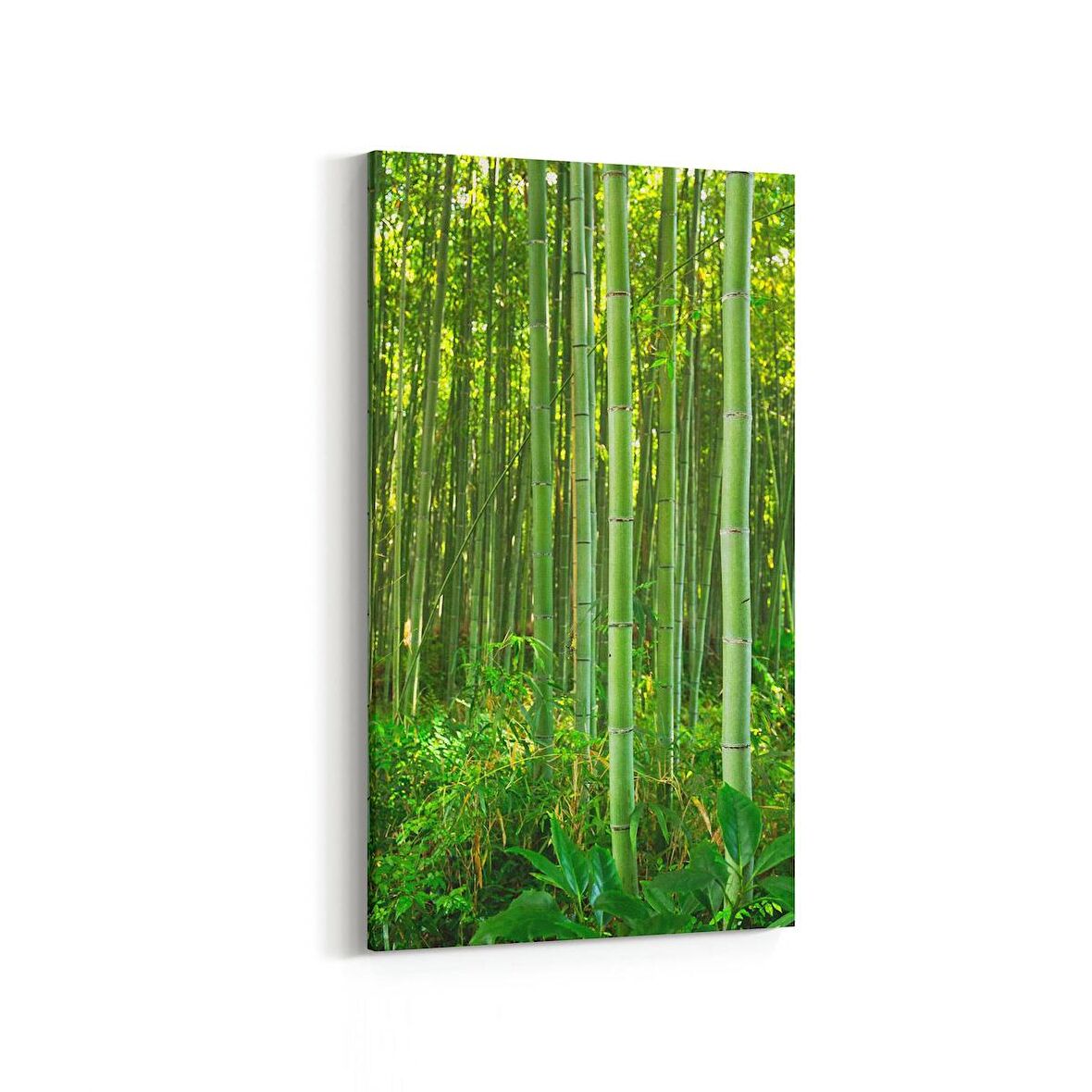 Olla 14377DD Doğa / Manzara Görseli Dikey Dar Kanvas Tablo (Ölçü: 60X120)