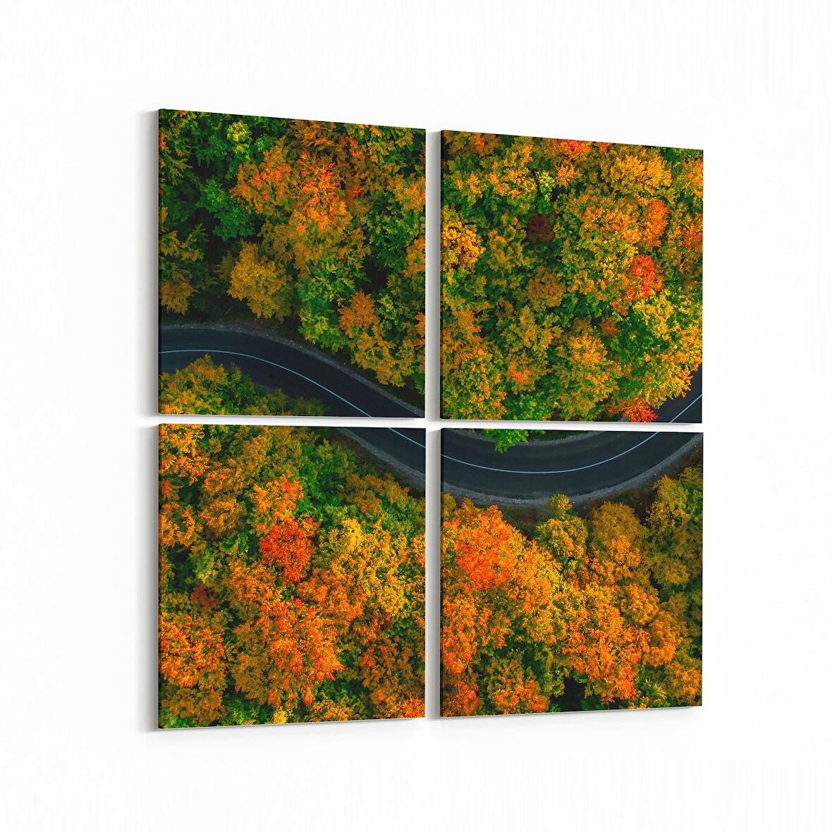 Olla 14467K4 Doğa / Manzara Görseli Kare 4'lü Kanvas Tablo (Ölçü: 125X125)