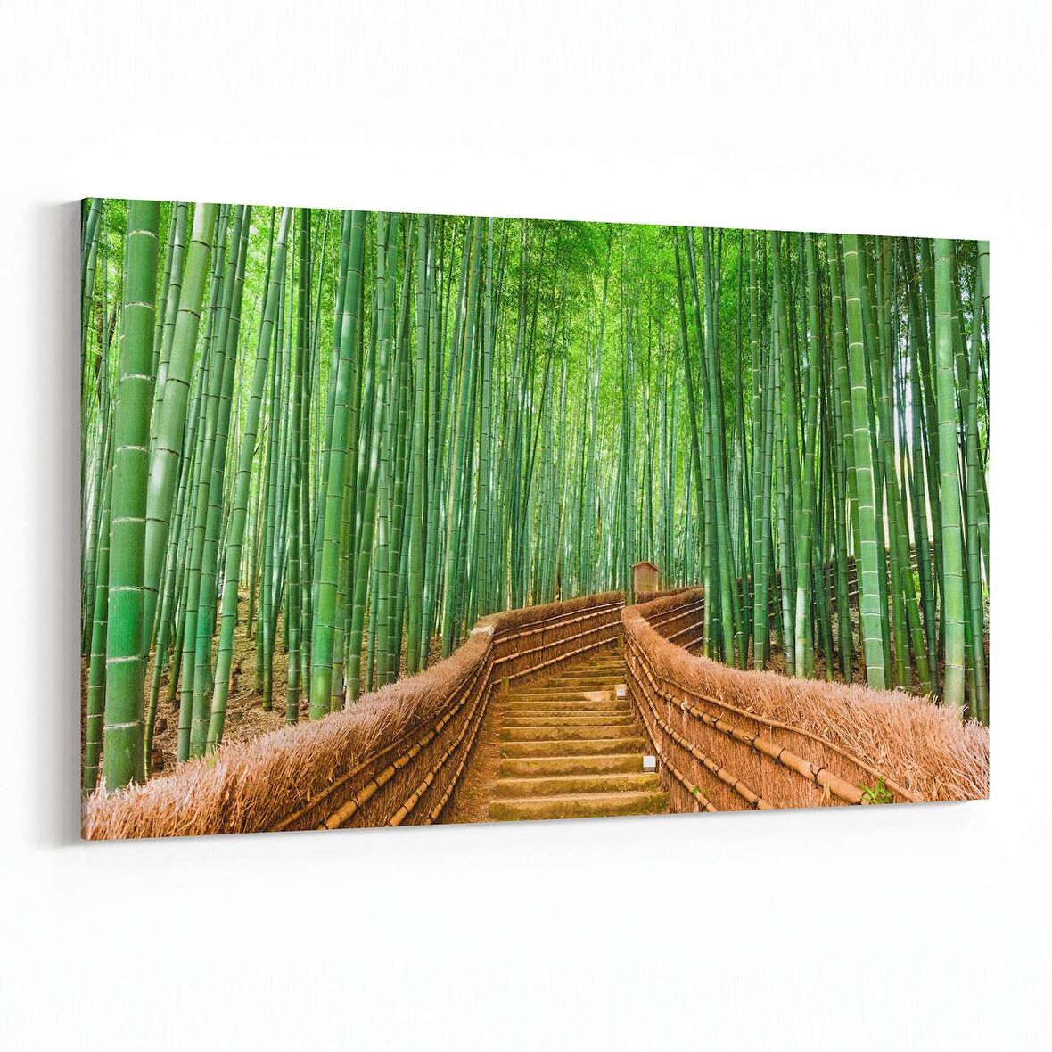 Olla 13916Y Doğa / Manzara Görseli Yatay Kanvas Tablo (Ölçü: 150X100)