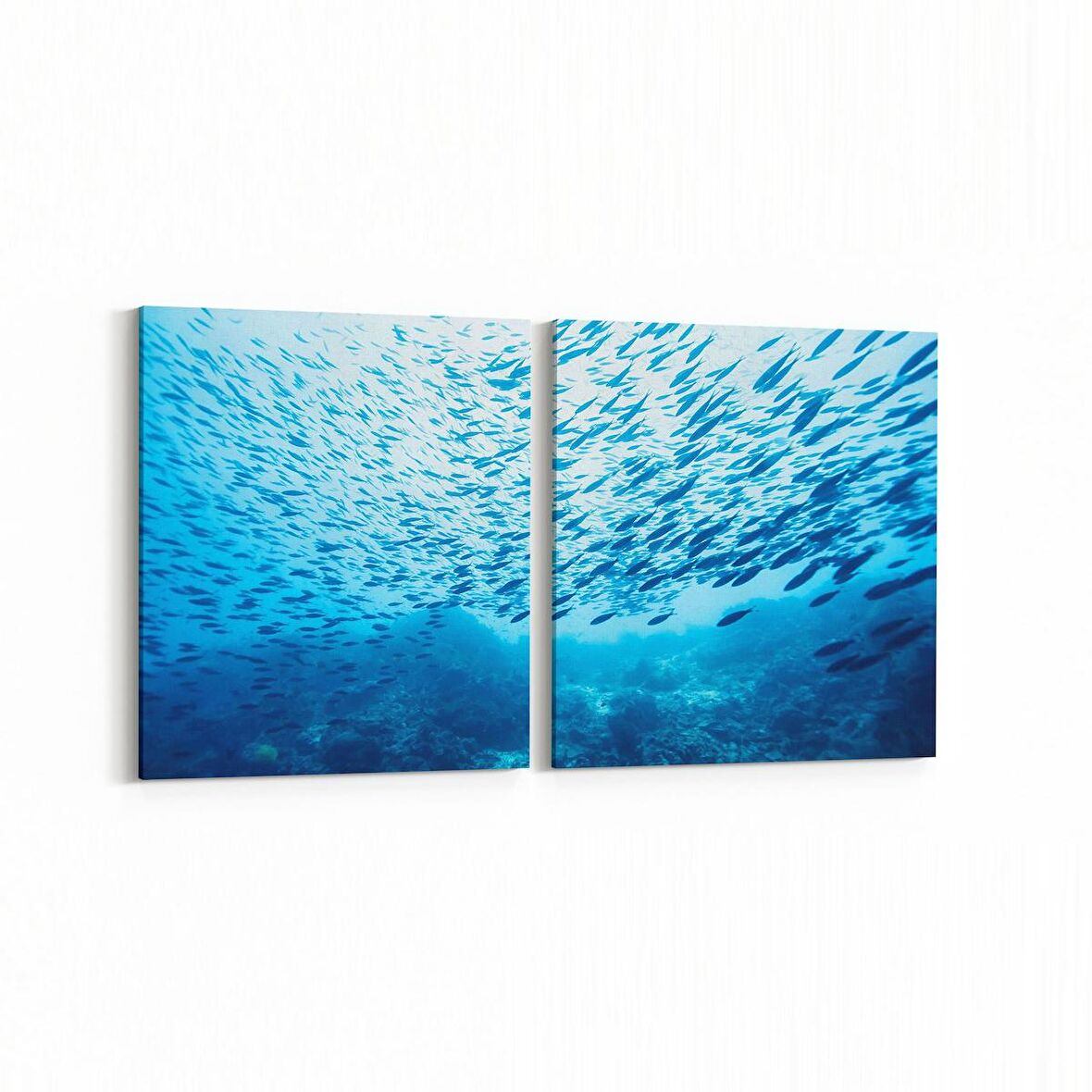 Olla 12081K2Y Akvaryum / Balık Görseli Kare 2'li Yatay Kanvas Tablo (Ölçü: 65X30)