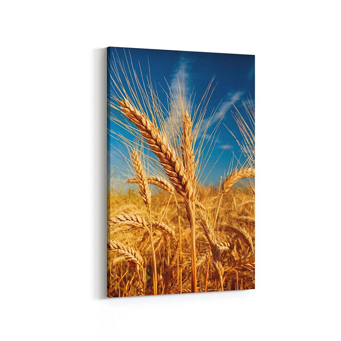 Olla 15270D Gıda Görseli Dikey Kanvas Tablo (Ölçü: 60X90)