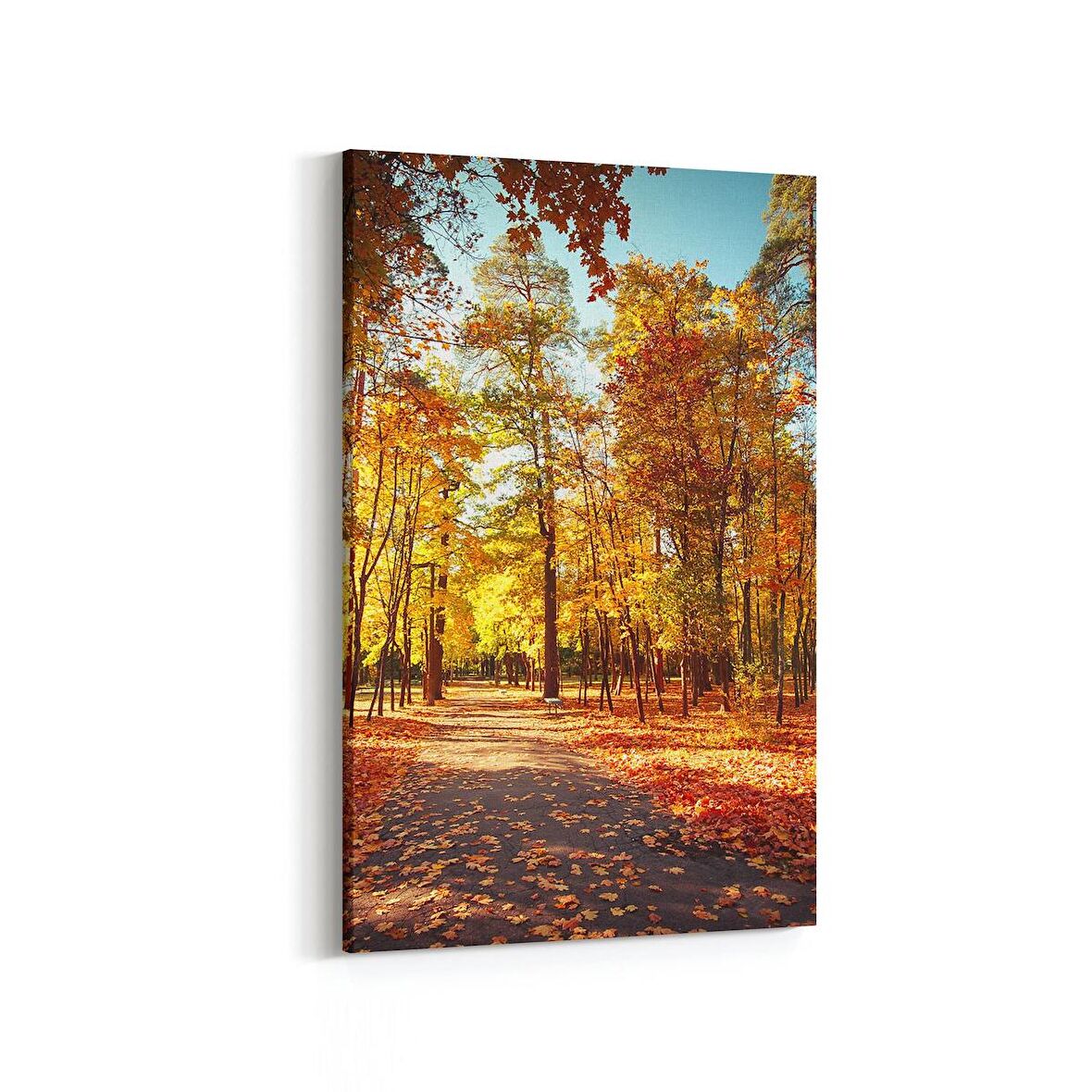 Olla 13740D Doğa / Manzara Görseli Dikey Kanvas Tablo (Ölçü: 100X150)