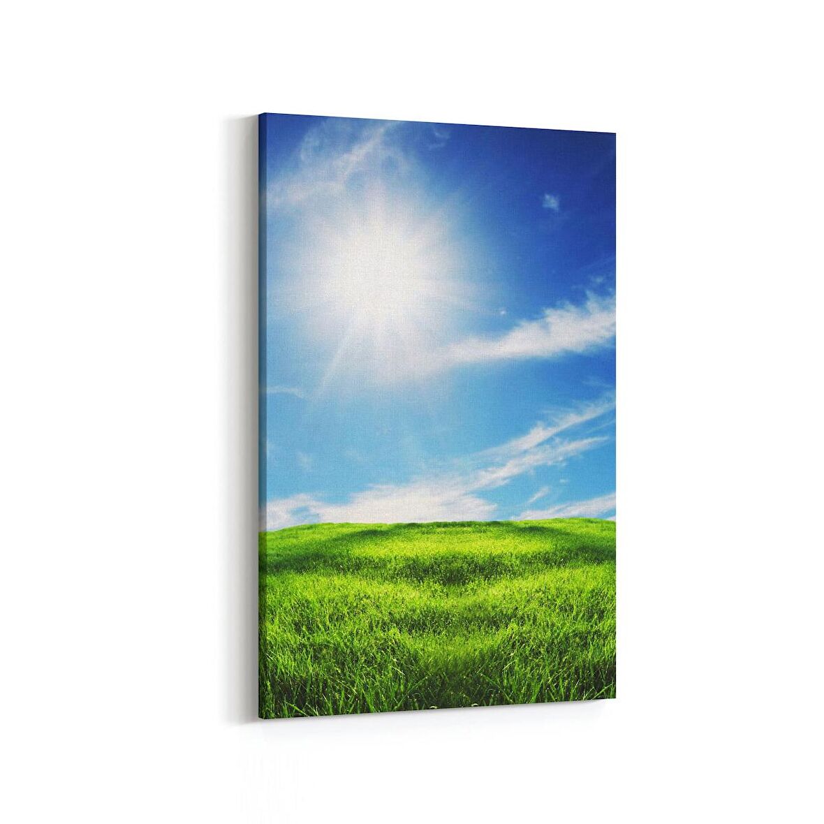 Olla 14626D Doğa / Manzara Görseli Dikey Kanvas Tablo (Ölçü: 80X120)