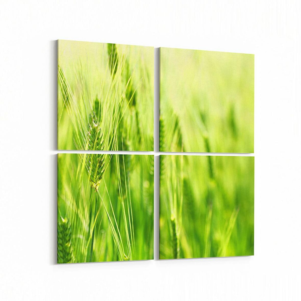 Olla 14507K4 Doğa / Manzara Görseli Kare 4'lü Kanvas Tablo (Ölçü: 145X145)