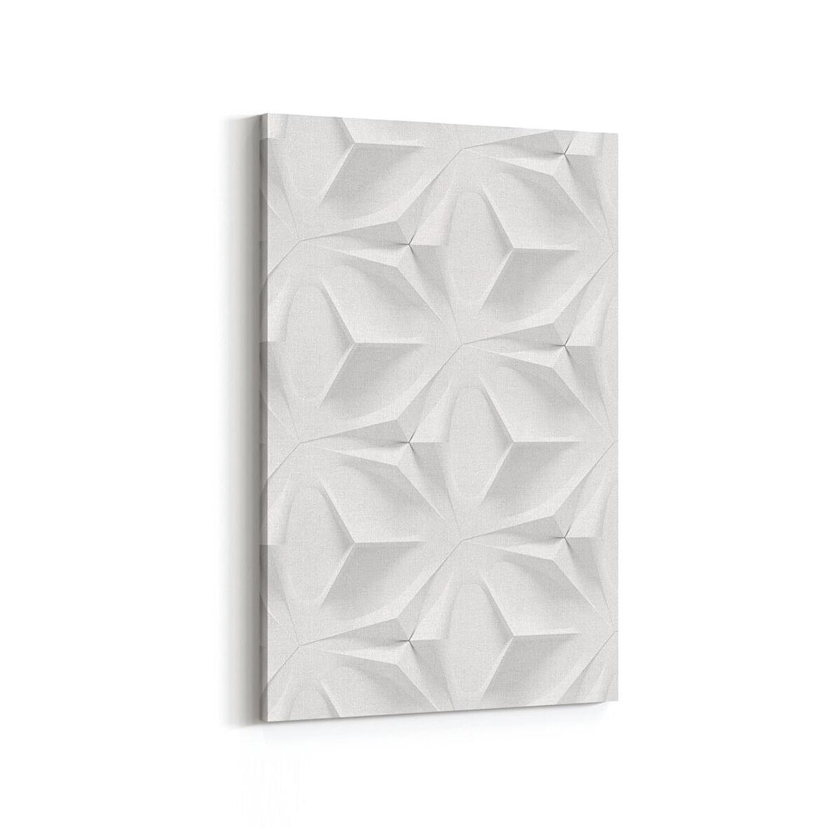 Olla 10459D Beyaz Kabartma Görseli Dikey Kanvas Tablo (Ölçü: 60X90)