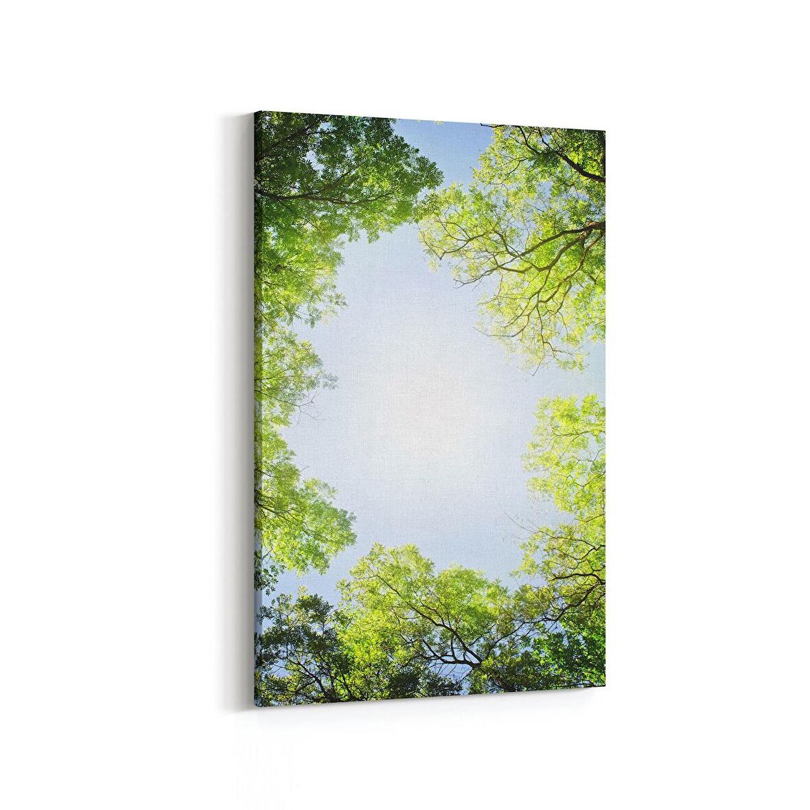 Olla 10749D Ağaç Görseli Dikey Kanvas Tablo (Ölçü: 100X150)