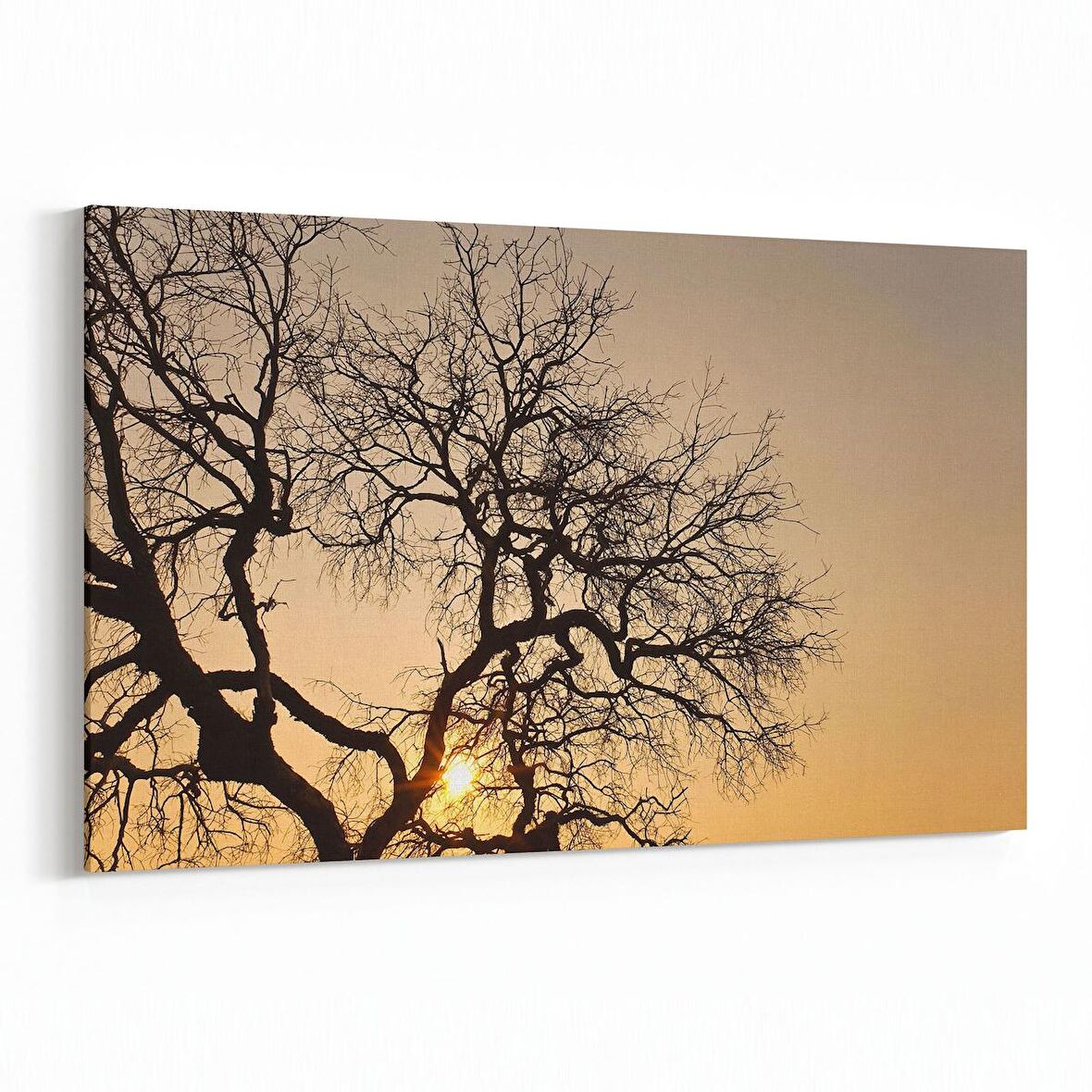 Olla 10559Y Ağaç Görseli Yatay Kanvas Tablo (Ölçü: 30X20)