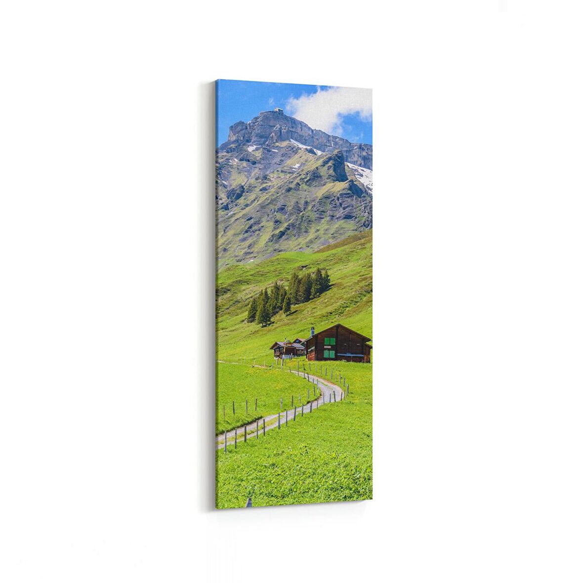 Olla 14173DI Doğa / Manzara Görseli Dikey İnce Kanvas Tablo (Ölçü: 40X120)