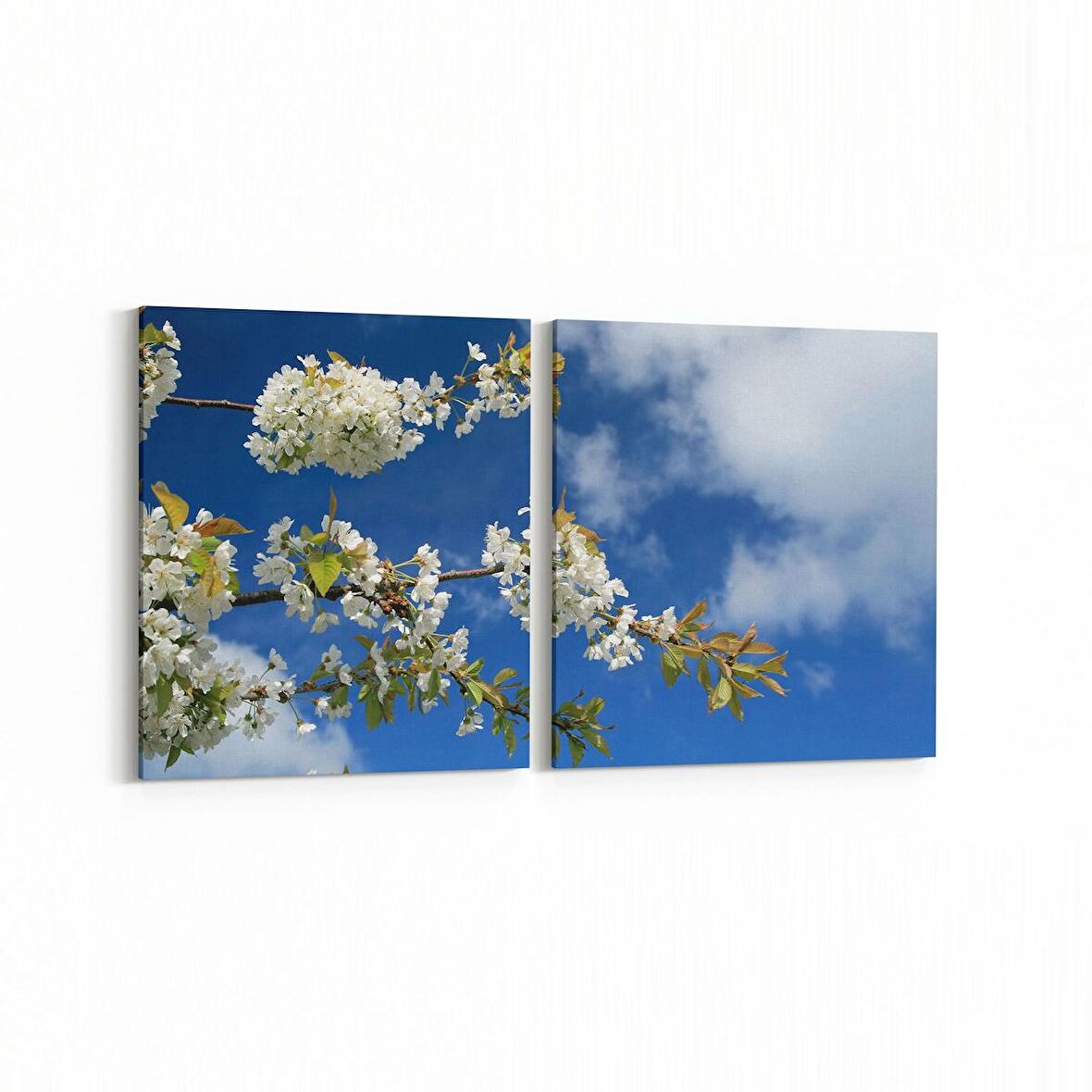 Olla 10995K2Y Ağaç Görseli Kare 2'li Yatay Kanvas Tablo (Ölçü: 85X40)