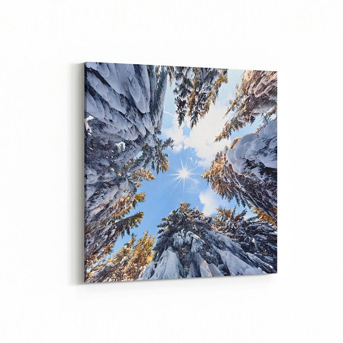 Olla 10488K Ağaç Görseli Kare Kanvas Tablo (Ölçü: 25X25)