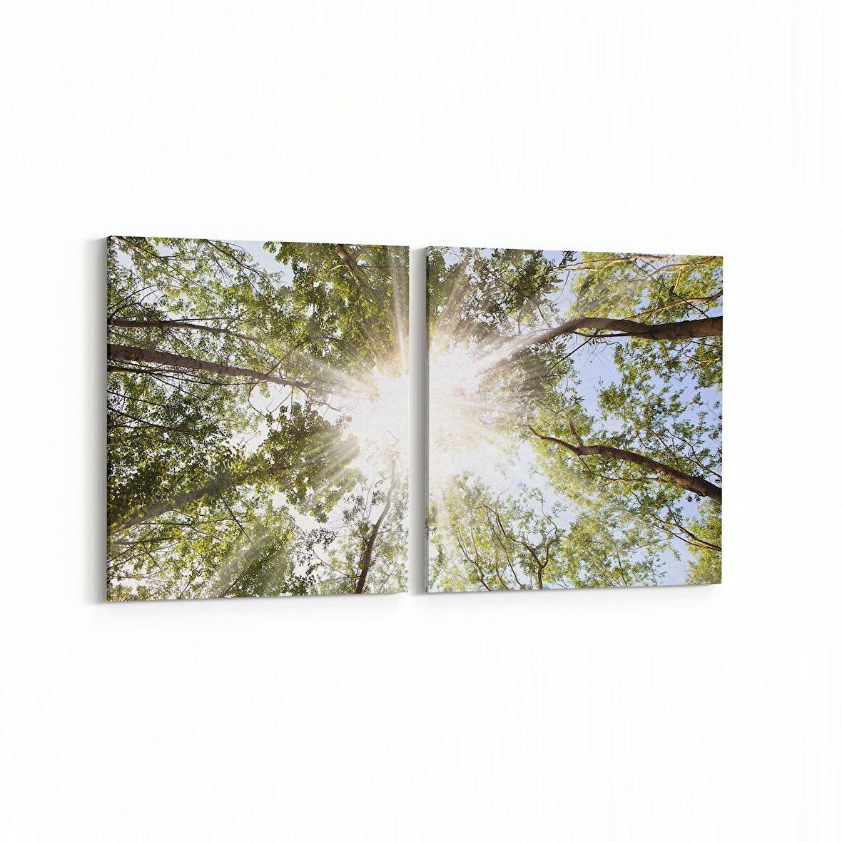 Olla 10894K2Y Ağaç Görseli Kare 2'li Yatay Kanvas Tablo (Ölçü: 125X60)