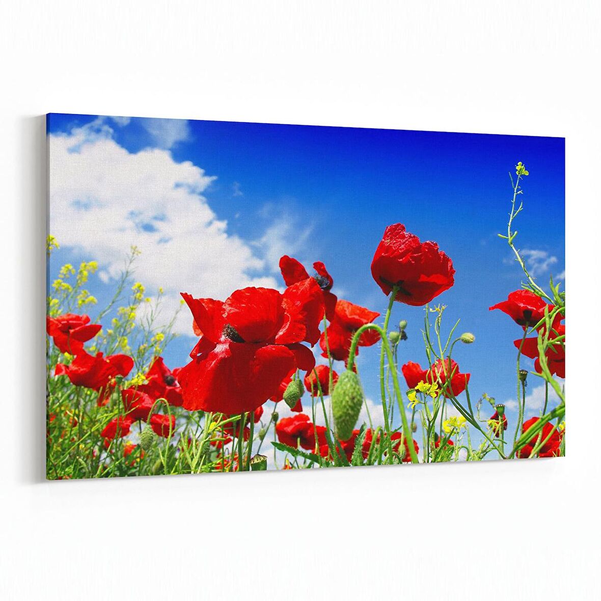 Olla 10695Y Ağaç Görseli Yatay Kanvas Tablo (Ölçü: 30X20)