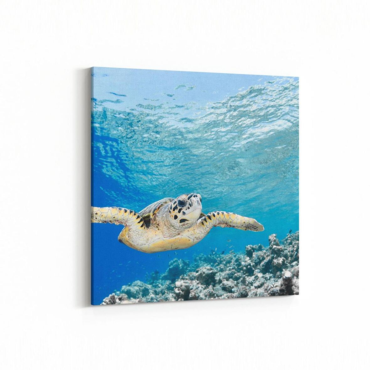 Olla 12905K Deniz / Okyanus Görseli Kare Kanvas Tablo (Ölçü: 25X25)