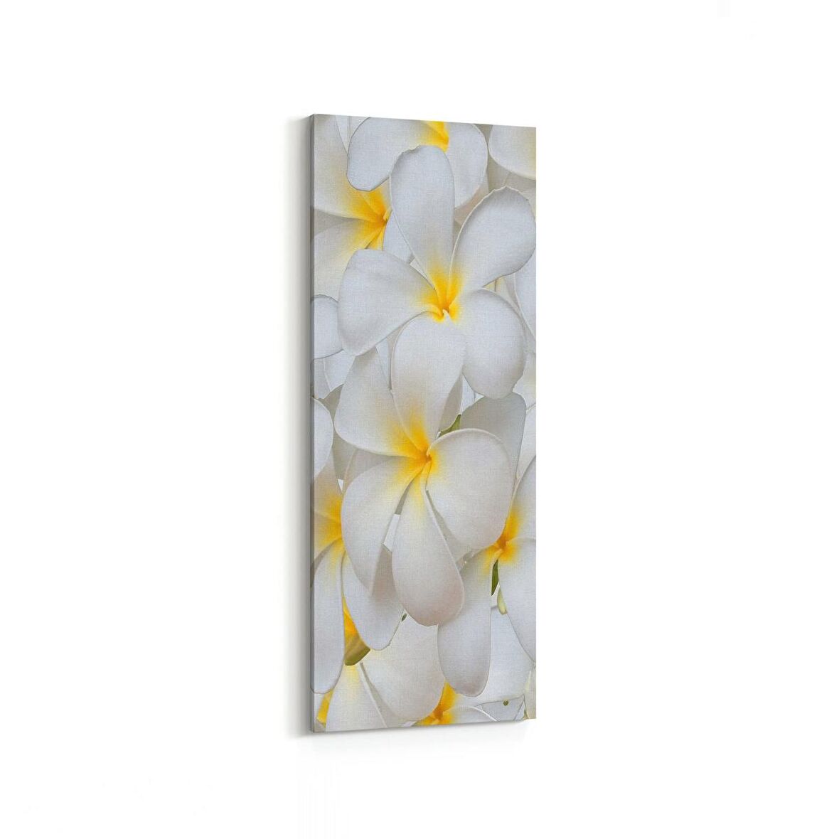 Olla 11633DI Çiçek Görseli Dikey İnce Kanvas Tablo (Ölçü: 40X120)