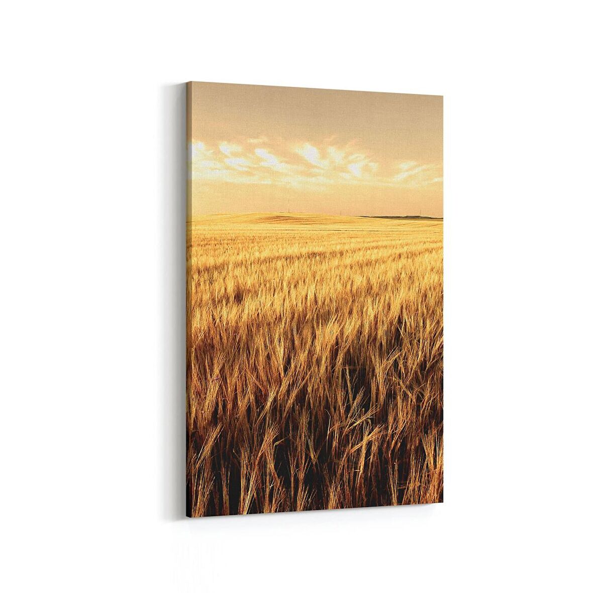 Olla 14008D Doğa / Manzara Görseli Dikey Kanvas Tablo (Ölçü: 100X150)