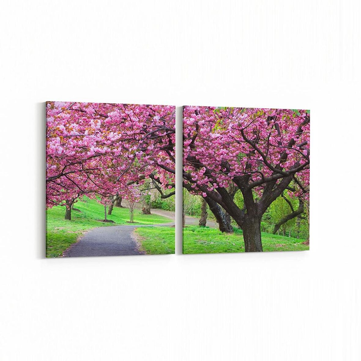 Olla 14265K2Y Doğa / Manzara Görseli Kare 2'li Yatay Kanvas Tablo (Ölçü: 65X30)