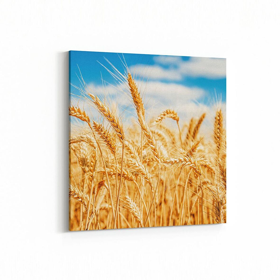 Olla 13295K Doğa / Manzara Görseli Kare Kanvas Tablo (Ölçü: 60X60)