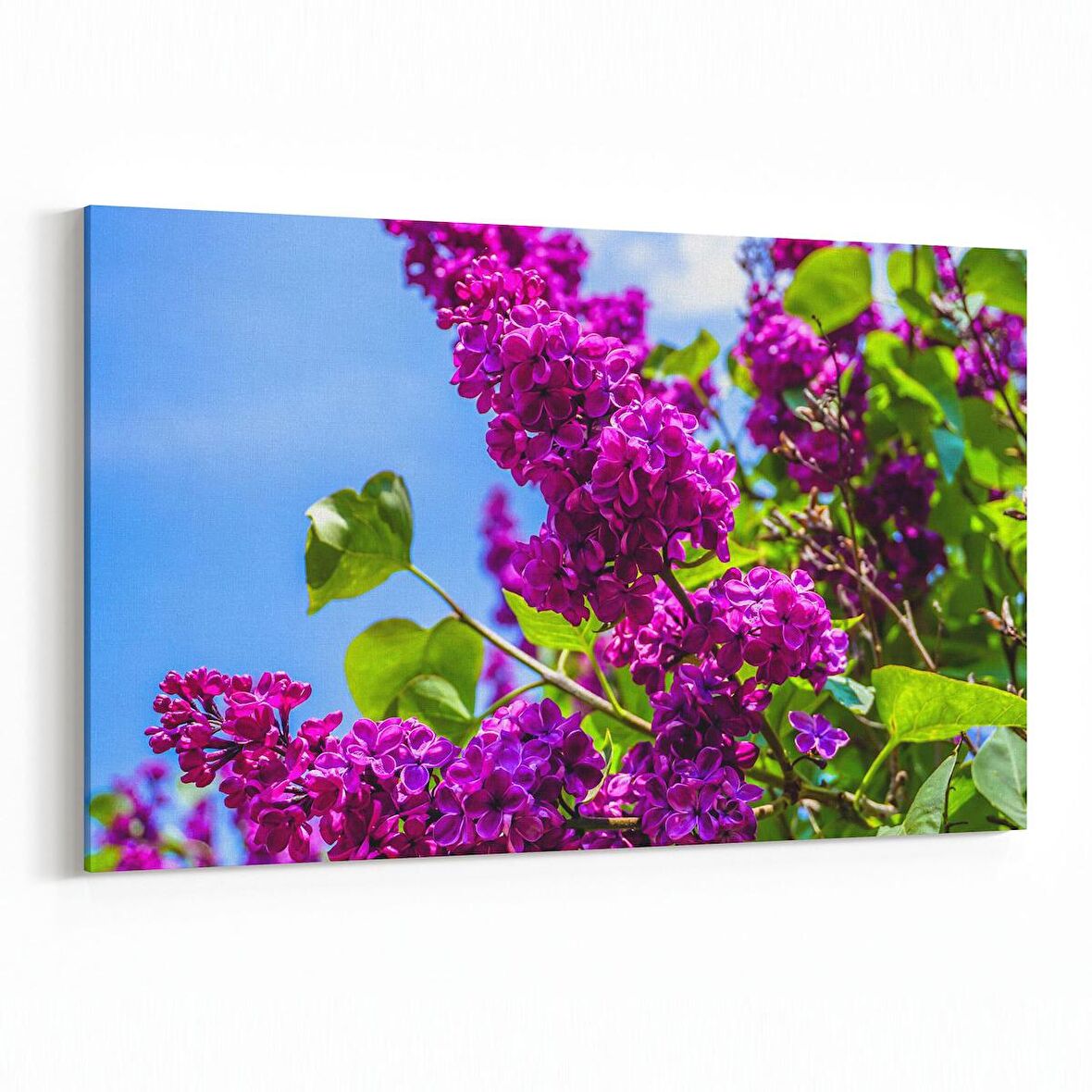 Olla 10969Y Ağaç Görseli Yatay Kanvas Tablo (Ölçü: 45X30)