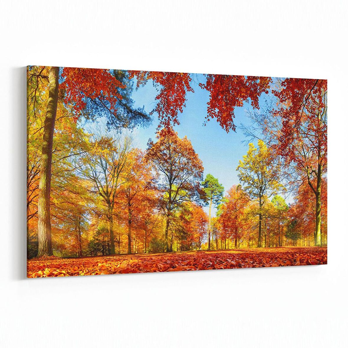 Olla 14116Y Doğa / Manzara Görseli Yatay Kanvas Tablo (Ölçü: 45X30)