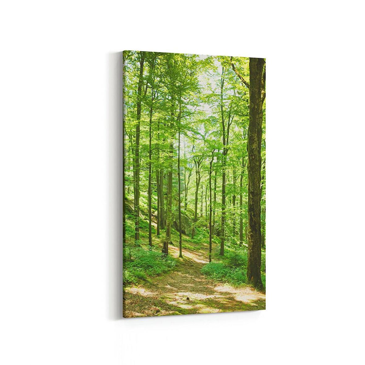 Olla 13850DD Doğa / Manzara Görseli Dikey Dar Kanvas Tablo (Ölçü: 40X80)