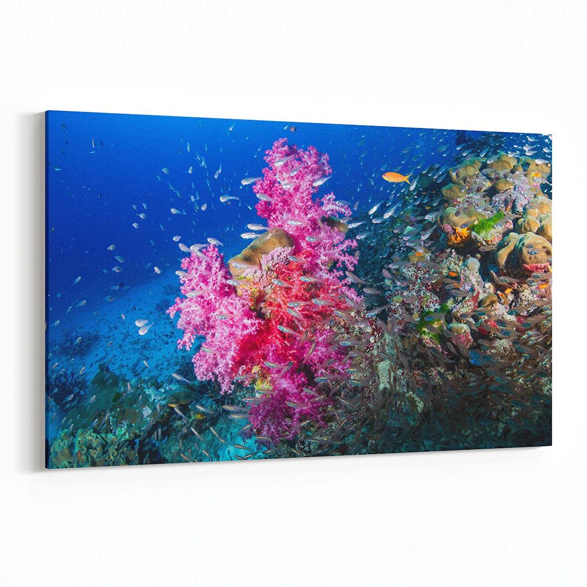 Olla 12104Y Akvaryum / Balık Görseli Yatay Kanvas Tablo (Ölçü: 150X100)