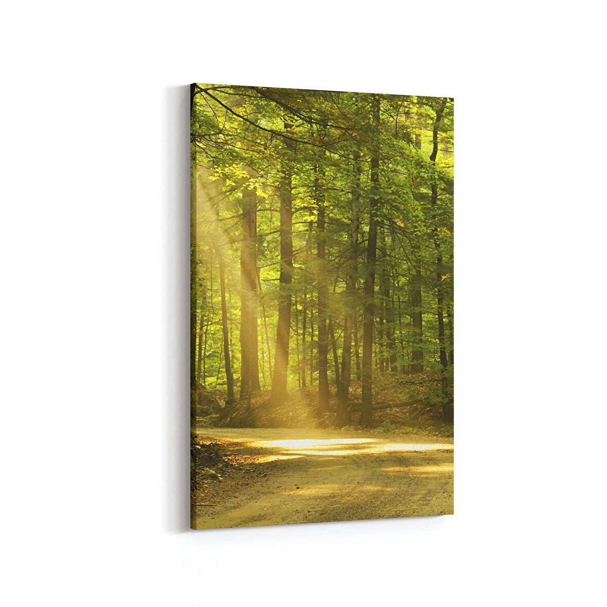 Olla 14045D Doğa / Manzara Görseli Dikey Kanvas Tablo (Ölçü: 80X120)