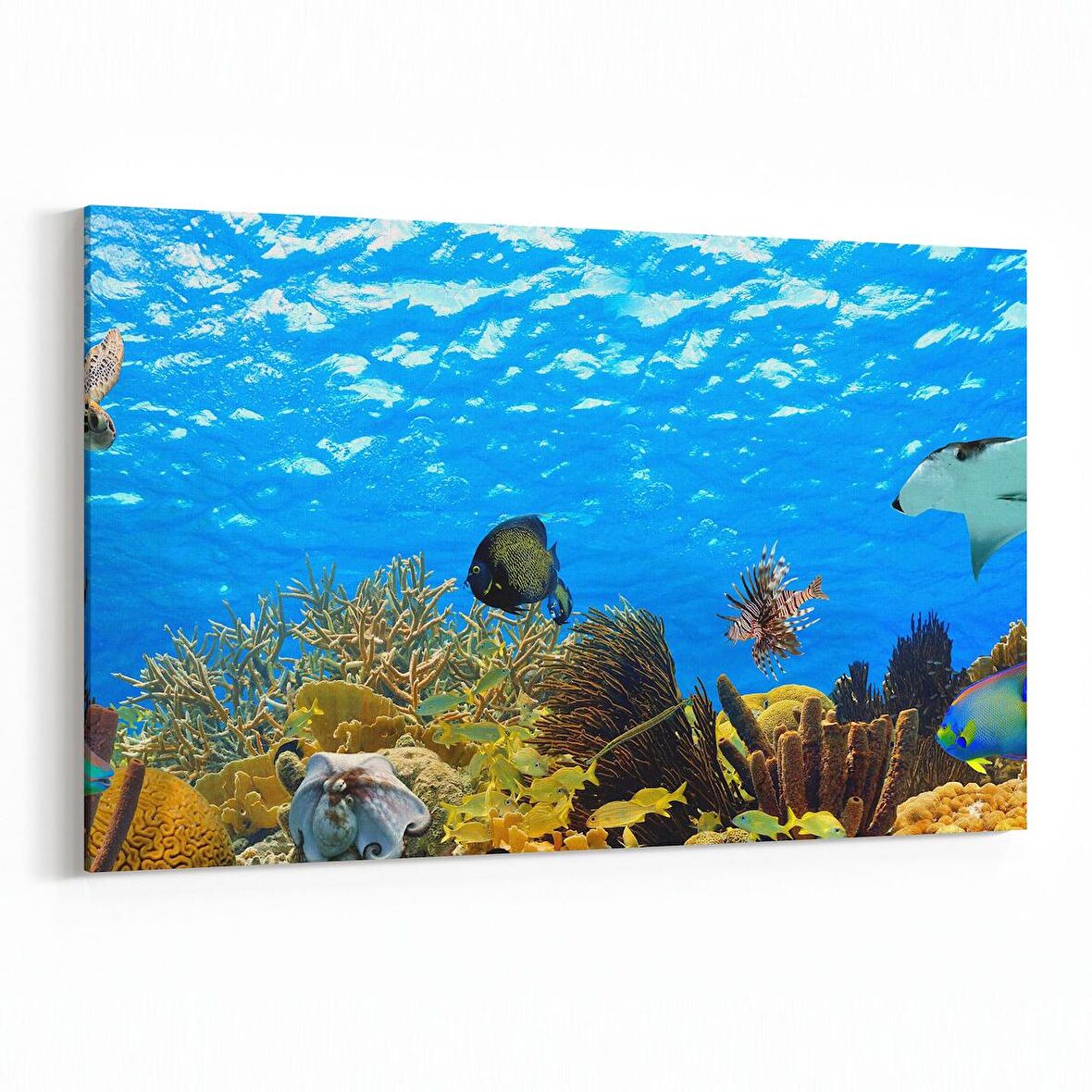 Olla 12097Y Akvaryum / Balık Görseli Yatay Kanvas Tablo (Ölçü: 90X60)