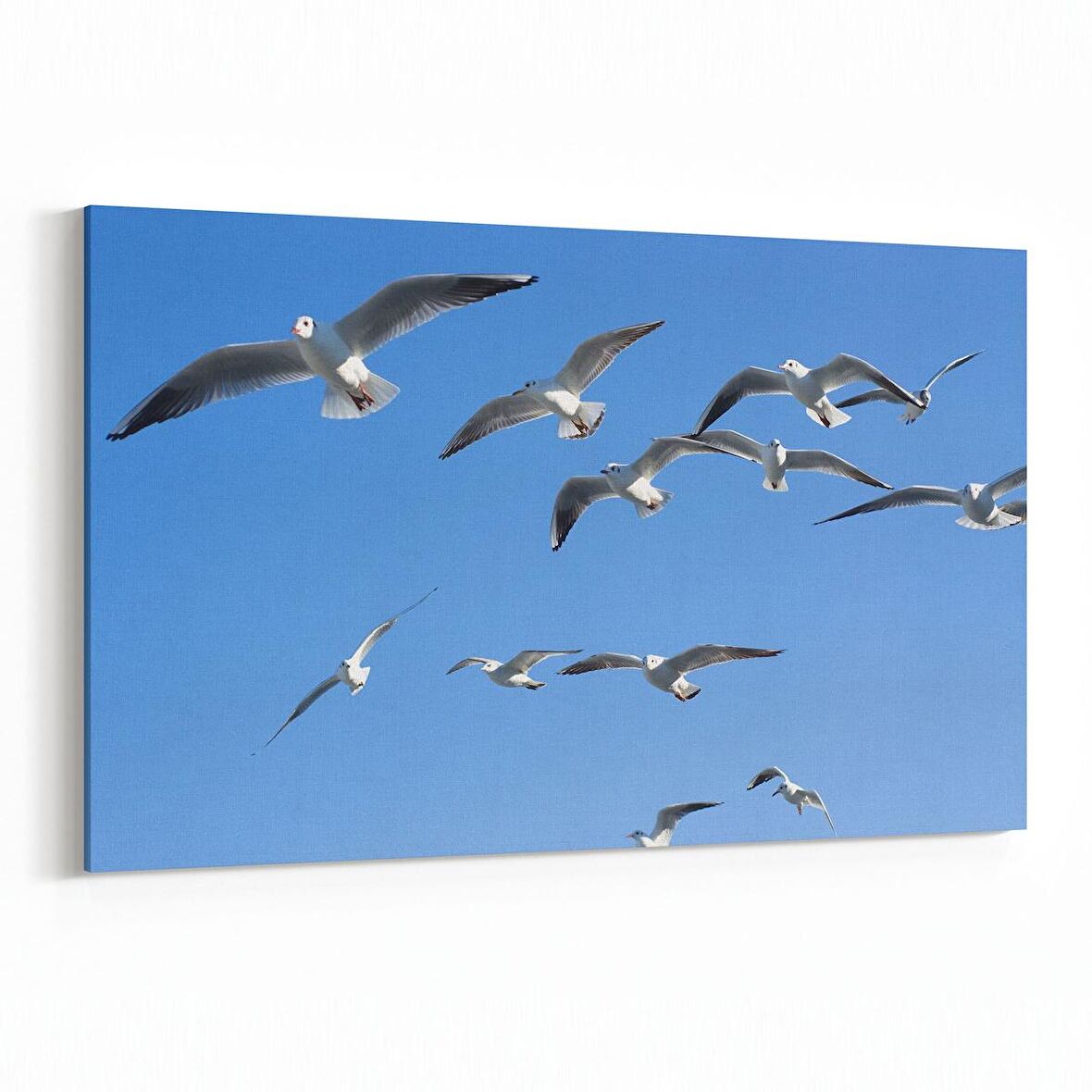 Olla 15829Y Gökyüzü Kuşlar Görseli Yatay Kanvas Tablo (Ölçü: 90X60)