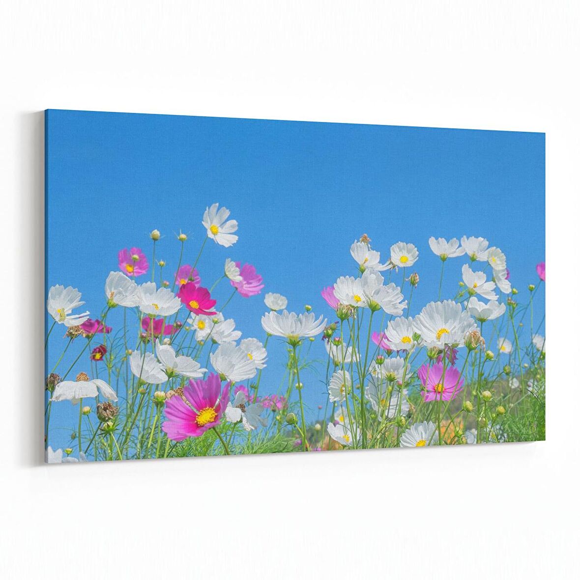 Olla 10839Y Ağaç Görseli Yatay Kanvas Tablo (Ölçü: 90X60)