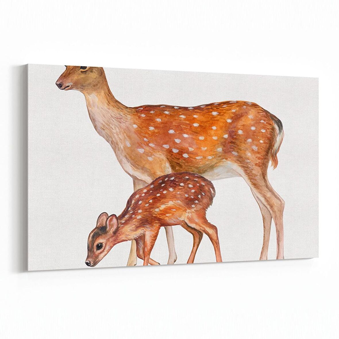 Olla 12664Y Hayvanlar Alemi Görseli Yatay Kanvas Tablo (Ölçü: 90X60)