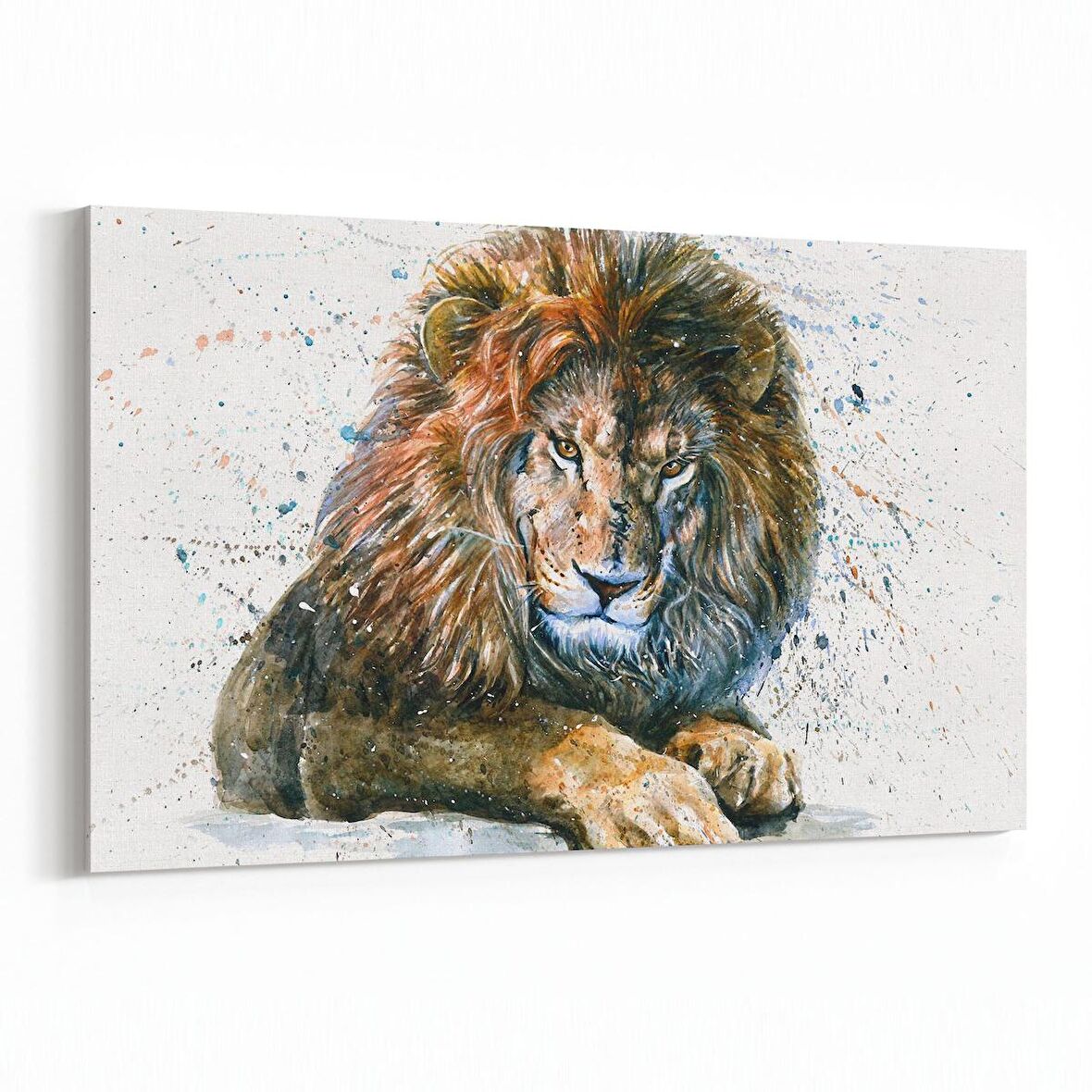 Olla 12654Y Hayvanlar Alemi Görseli Yatay Kanvas Tablo (Ölçü: 90X60)