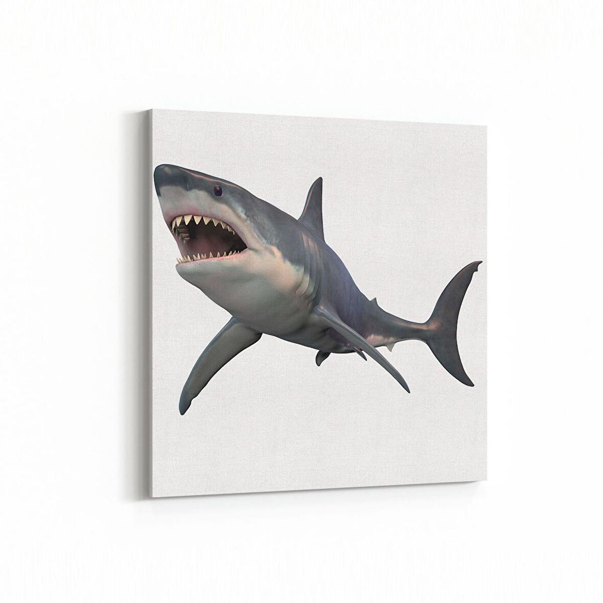 Olla 12611K Hayvanlar Alemi Görseli Kare Kanvas Tablo (Ölçü: 60X60)